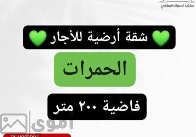 SmartSelect_٢٠٢٥٠٢٠٥_١١٣٤٥٥_Facebook