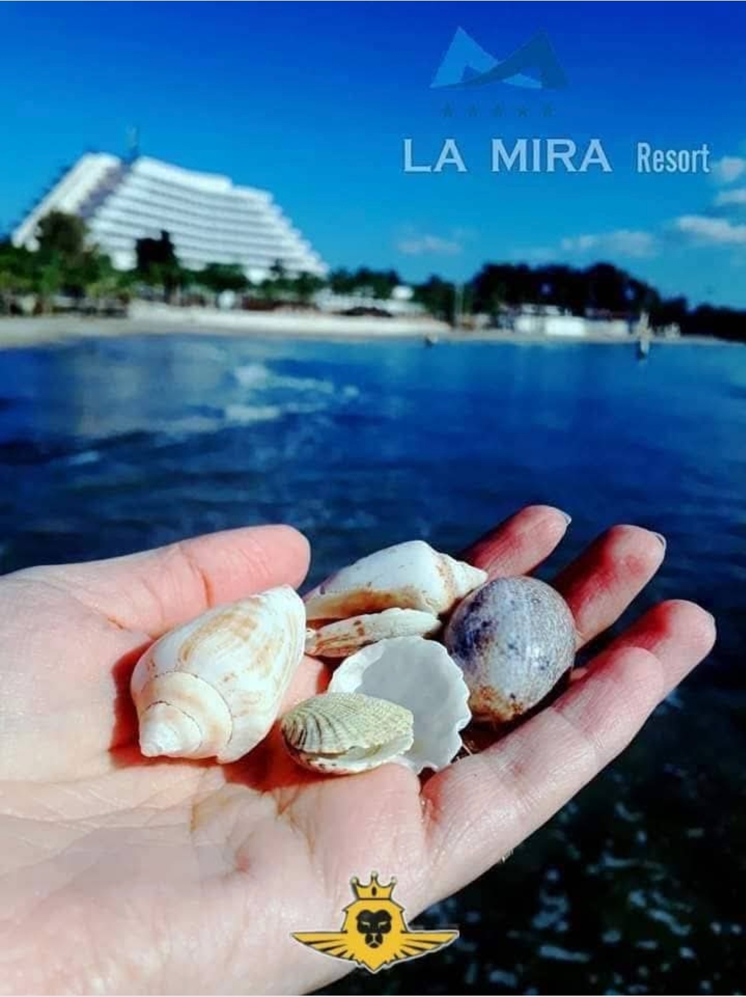 إحتفلوا بعيد الحب باجواء الساحره ولا تنتسى