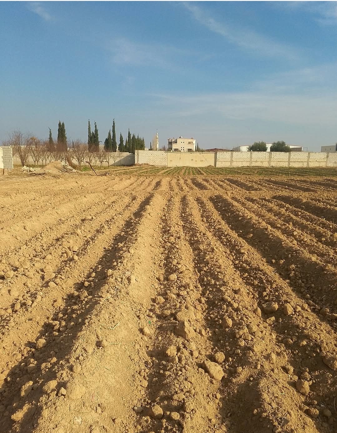 بيع أرض دنمين