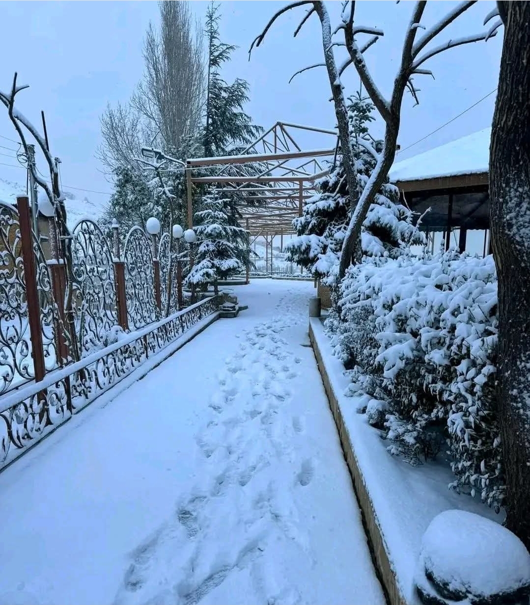 رحله ترفيهيه