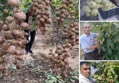 SmartSelect_٢٠٢٥٠٢١٠_٢٣٥٧٠٧_Facebook