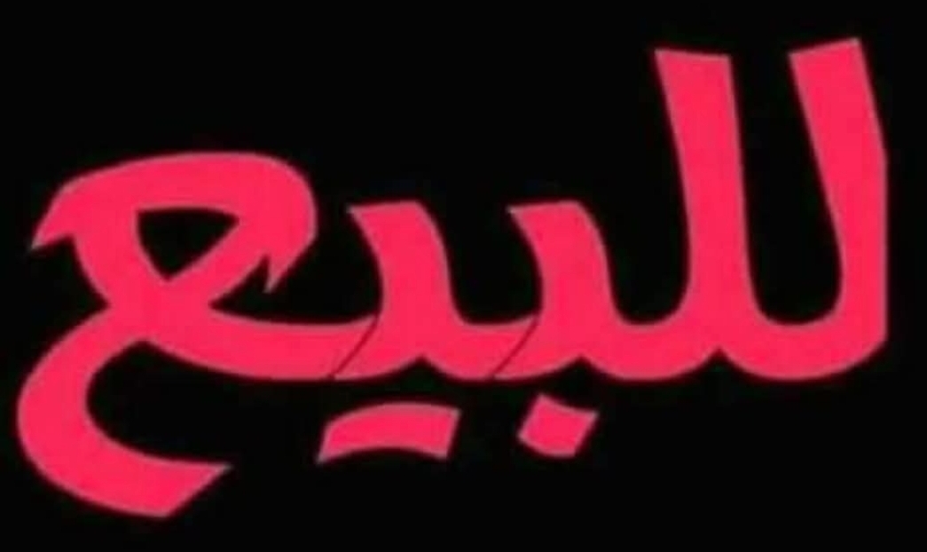 شقه للبيع البرامكه