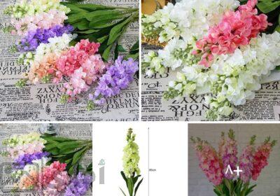 SmartSelect_٢٠٢٥٠٢١٦_٢٣٤٨١٧_Facebook