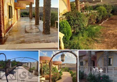 SmartSelect_٢٠٢٥٠٢٢٠_٢٠٥٤٢٠_Facebook