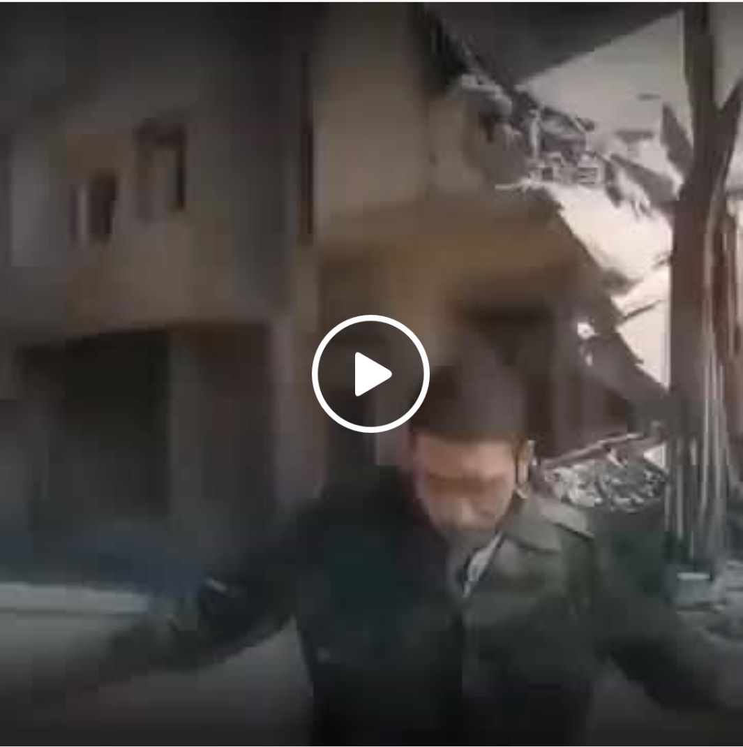 طلب بالشبيح